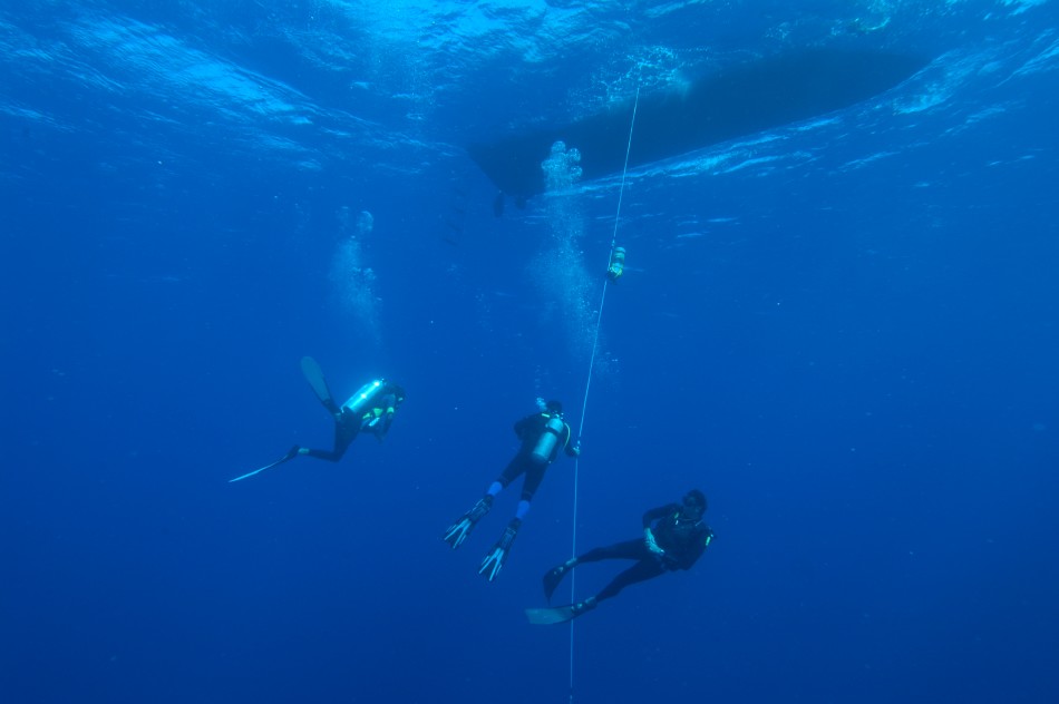 Il relitto Mondo Sommerso - snorkeling e immersioni